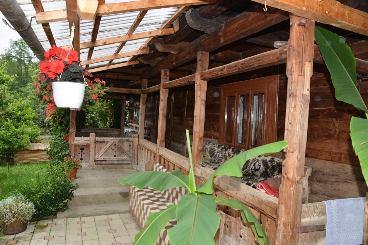 Pensiunea Armonia Văleni Exterior foto